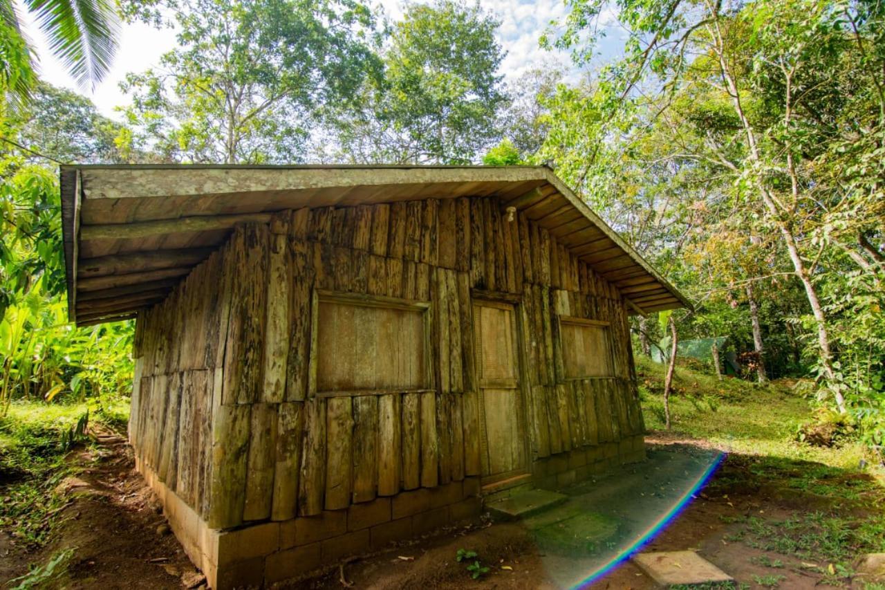 Los Chocuacos. Guácimo Exteriér fotografie