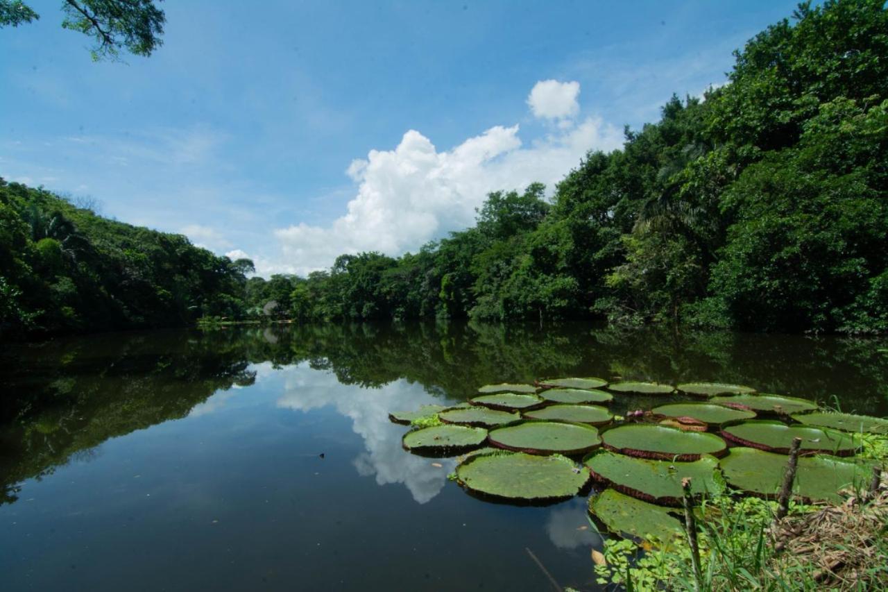 Los Chocuacos. Guácimo Exteriér fotografie