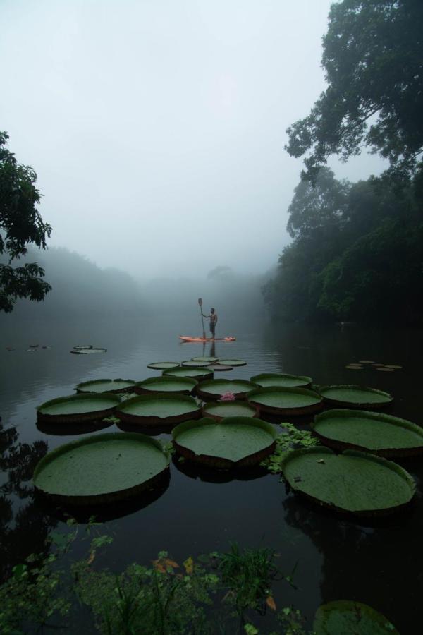 Los Chocuacos. Guácimo Exteriér fotografie