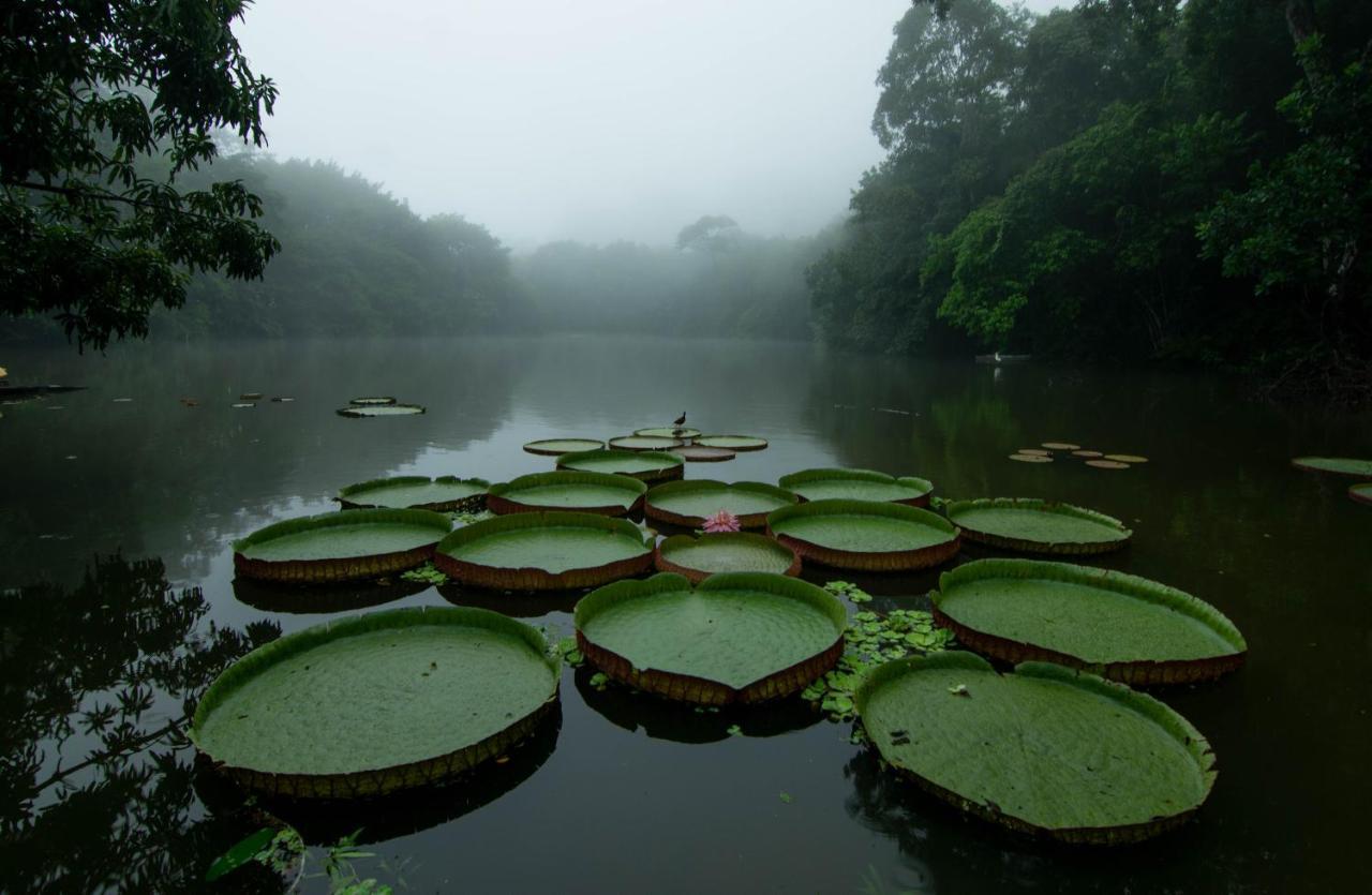 Los Chocuacos. Guácimo Exteriér fotografie