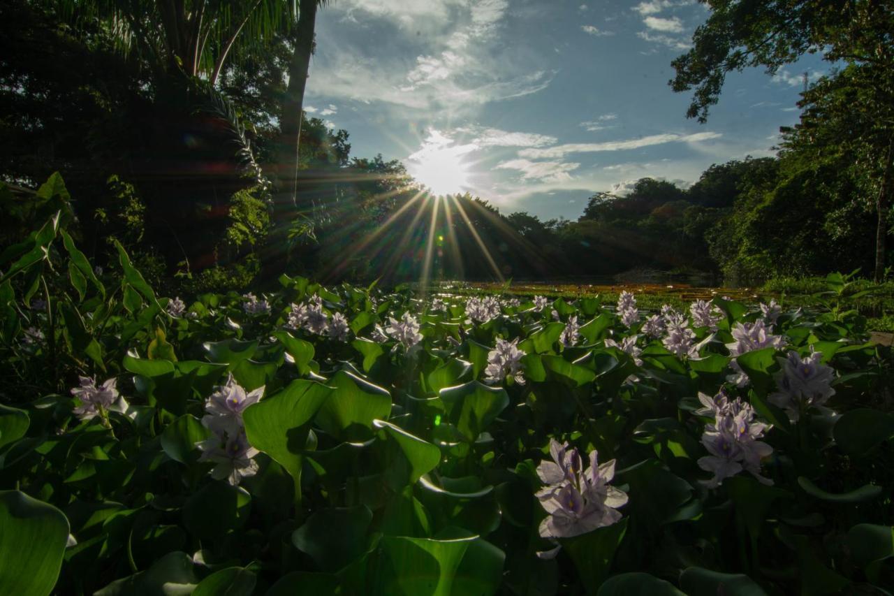 Los Chocuacos. Guácimo Exteriér fotografie